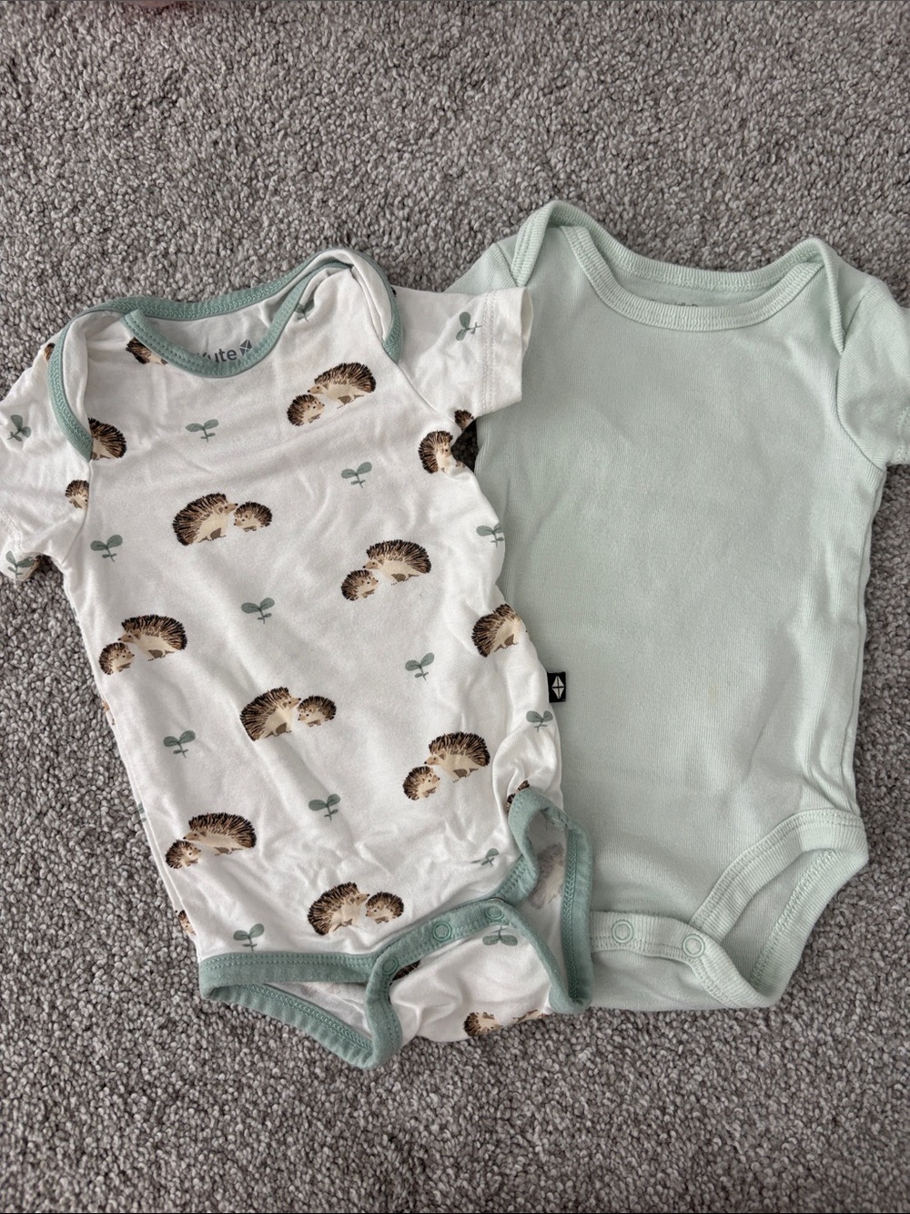 Multiples Mint & Hedgehog Print Baby One-Pieces